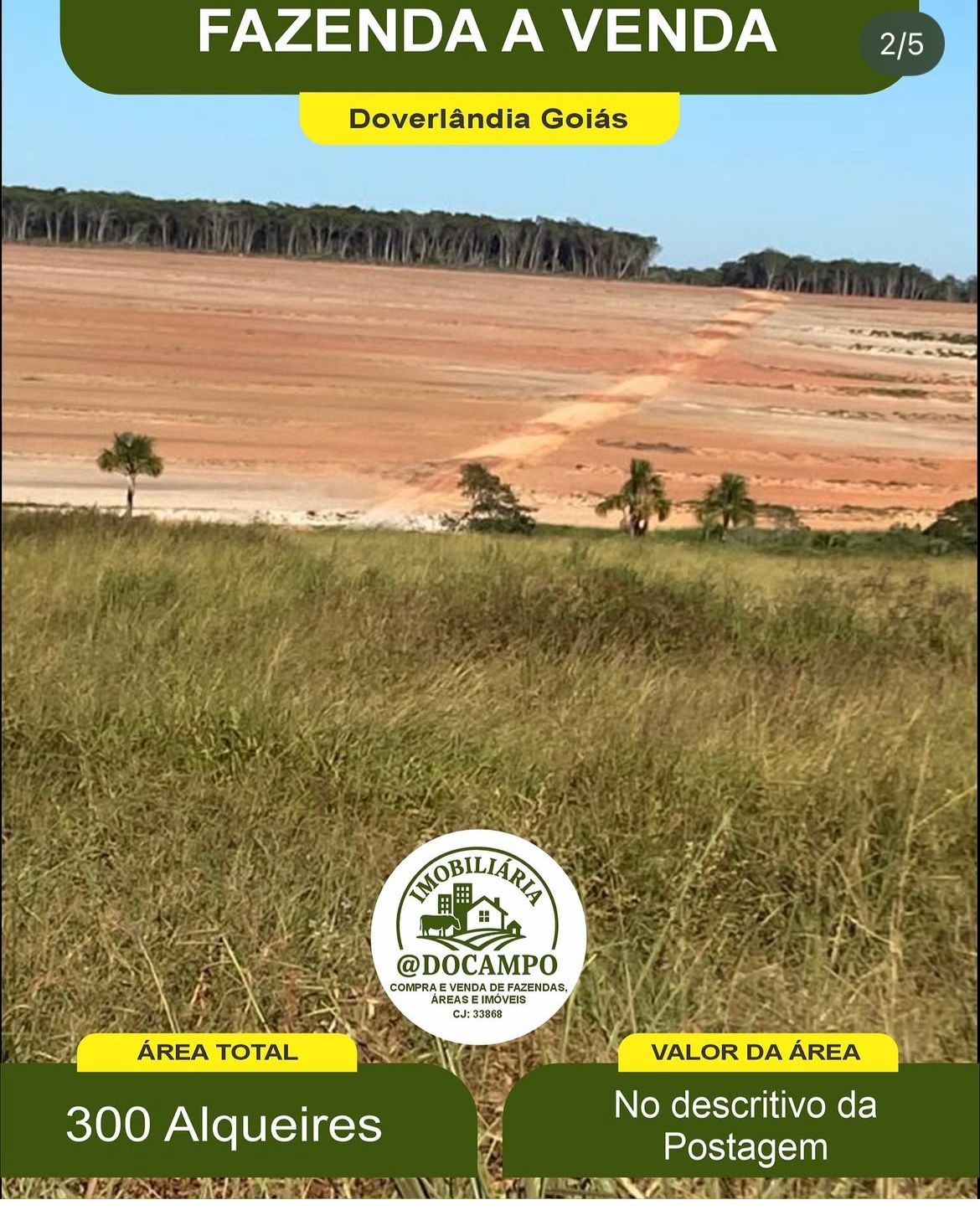 Fazenda Doverlândia - Vista 3