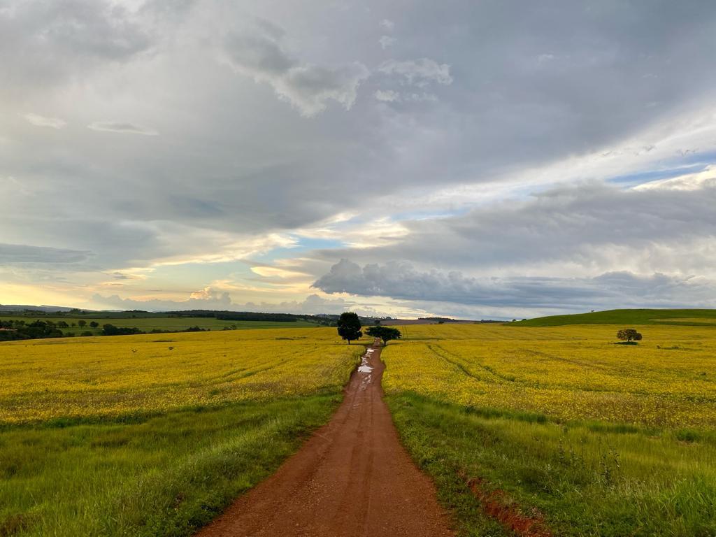 Fazenda Go-BRB foto 4