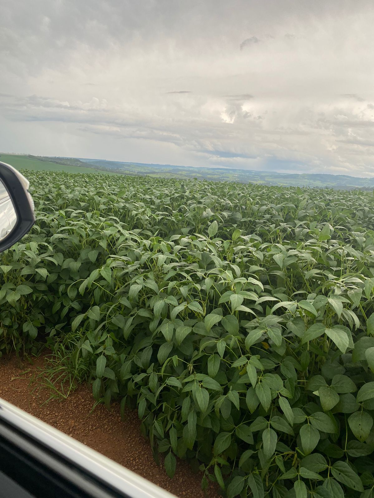 Fazenda Go-BRB foto 7
