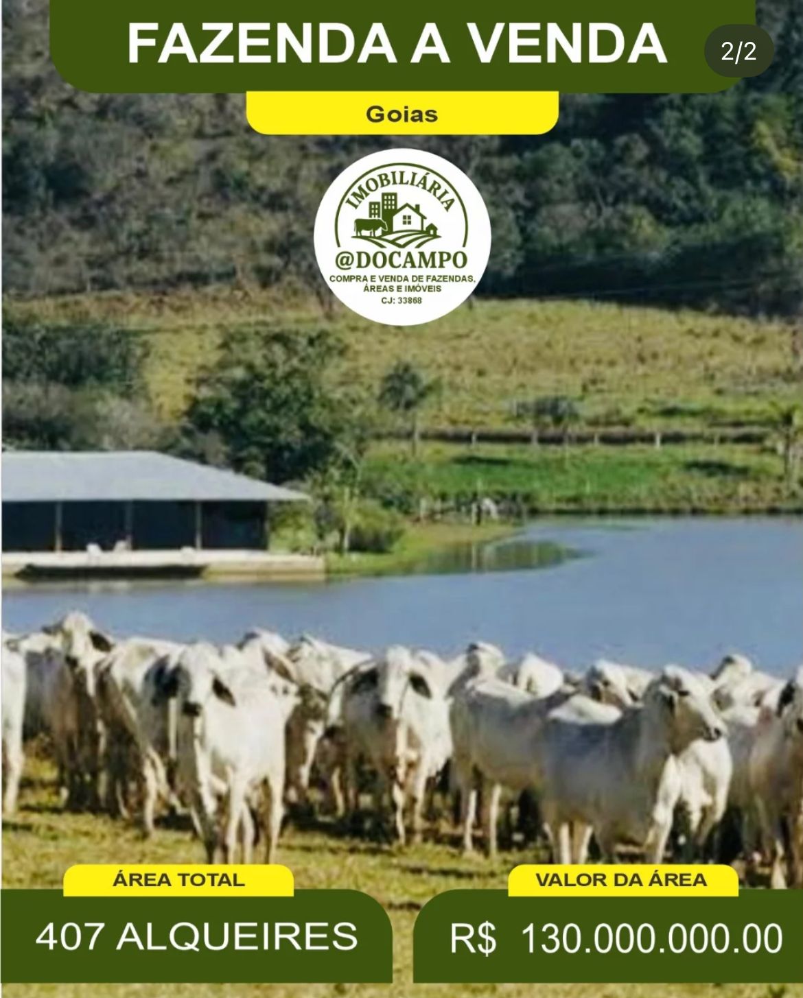 Fazenda Alto Padrão para Alta Produtividade foto 2