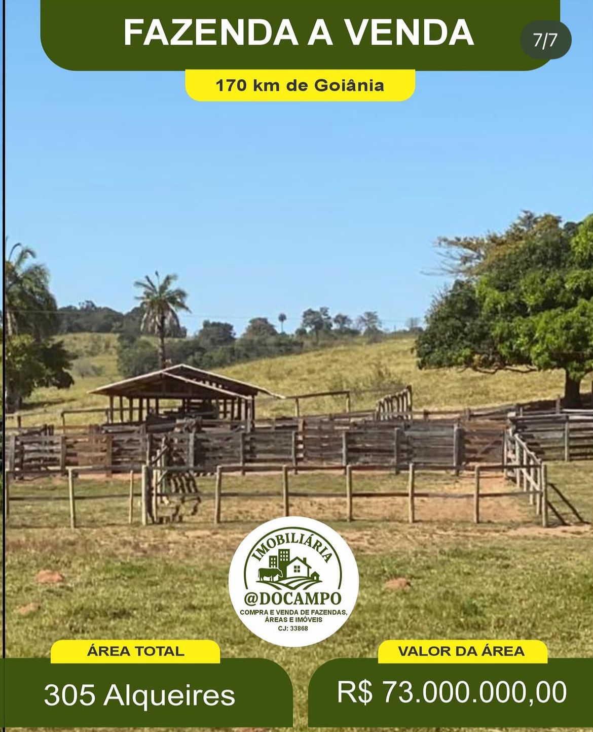 Fazenda São Luiz dos Montes Belos foto 2