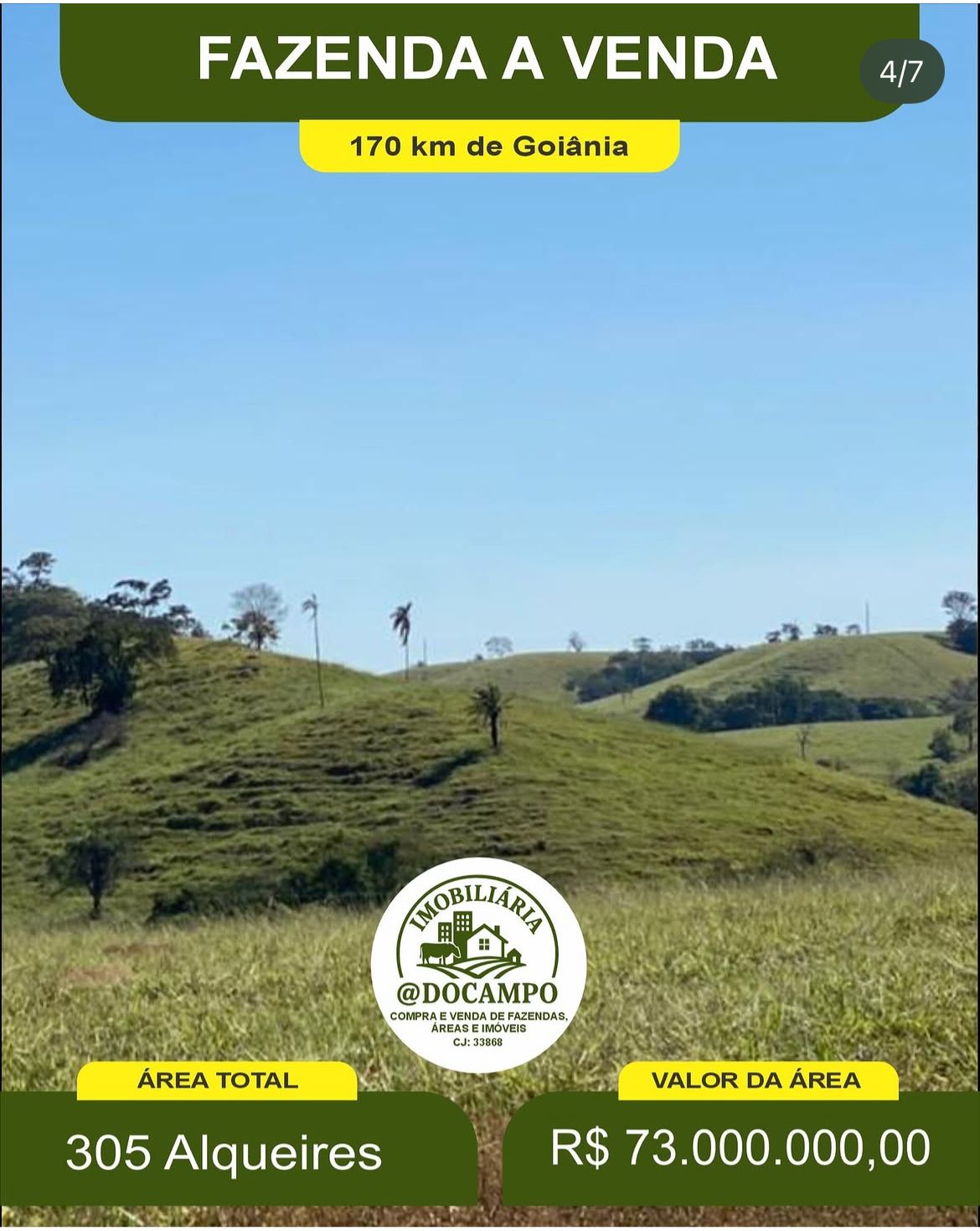 Fazenda São Luiz dos Montes Belos foto 3
