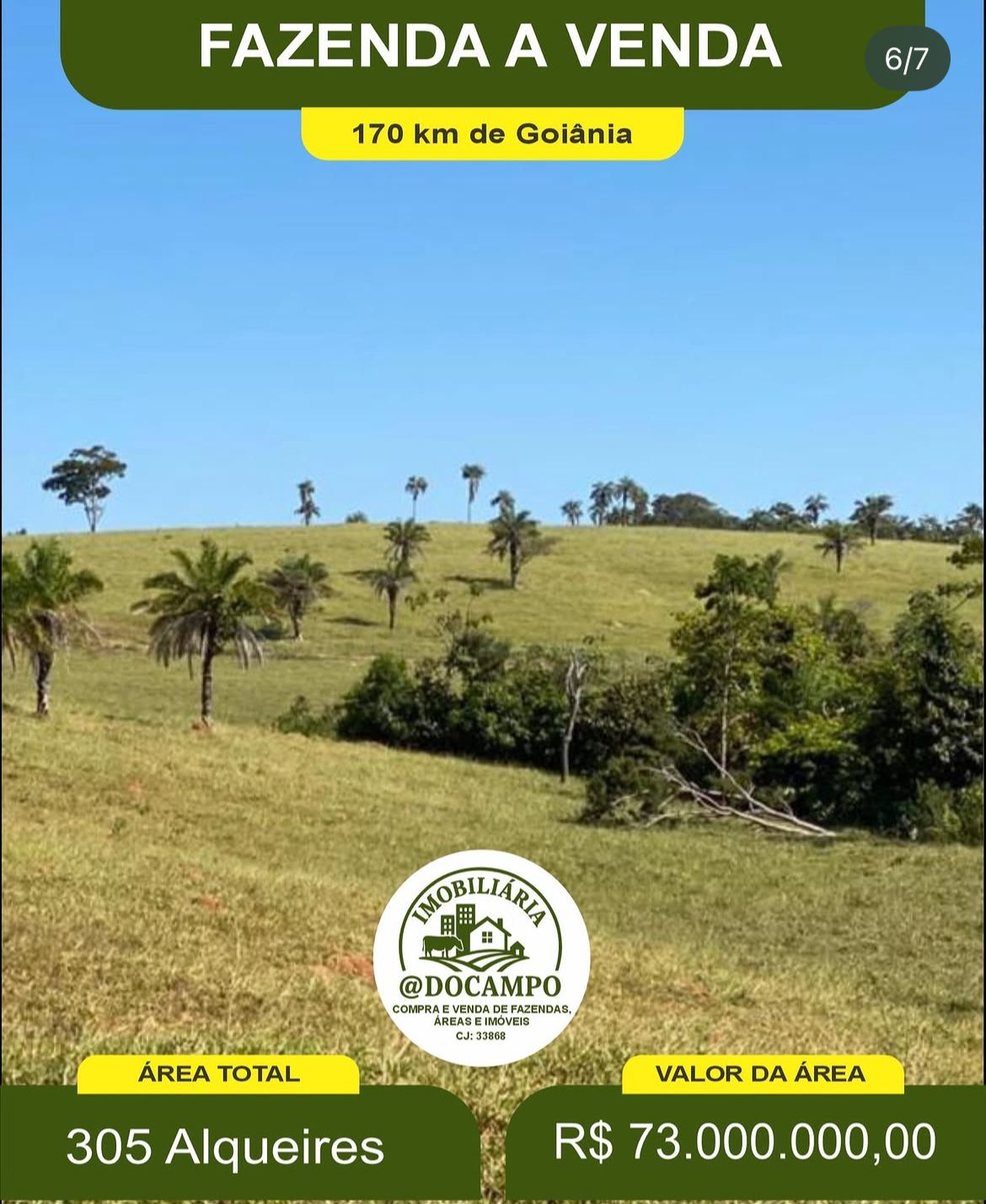 Fazenda à Venda - 305 Alqueires foto 11