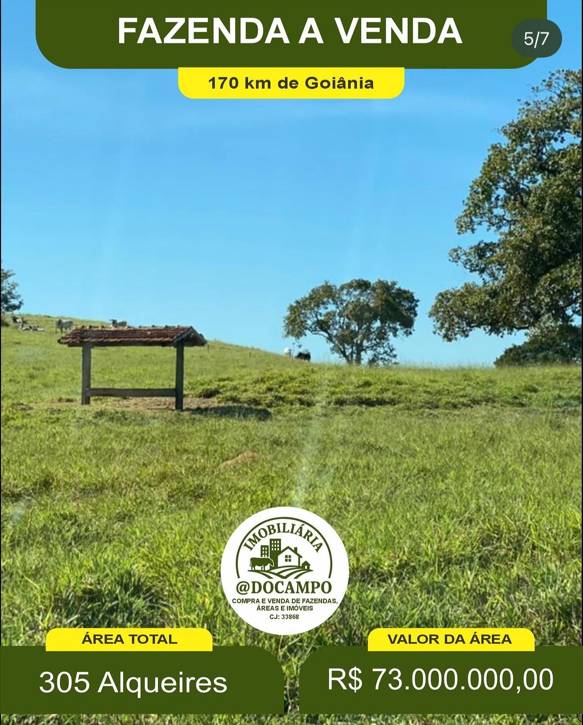 Fazenda à Venda - 305 Alqueires foto 5
