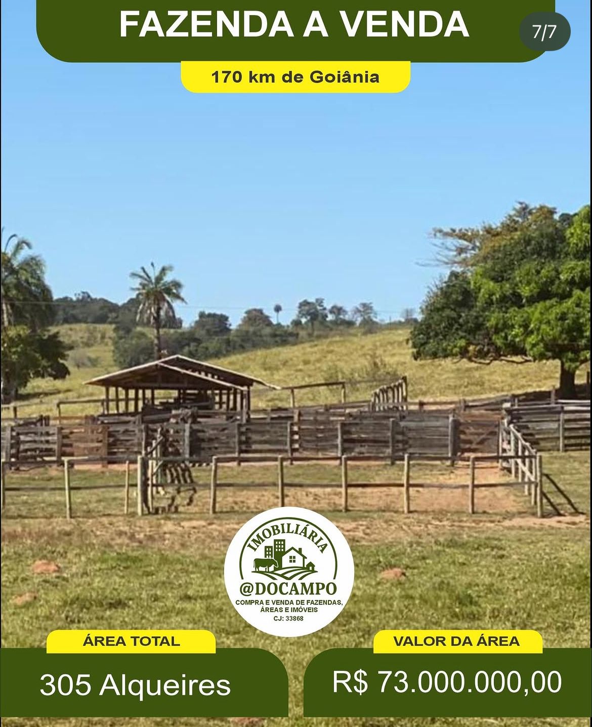 Fazenda à Venda - 305 Alqueires foto 8